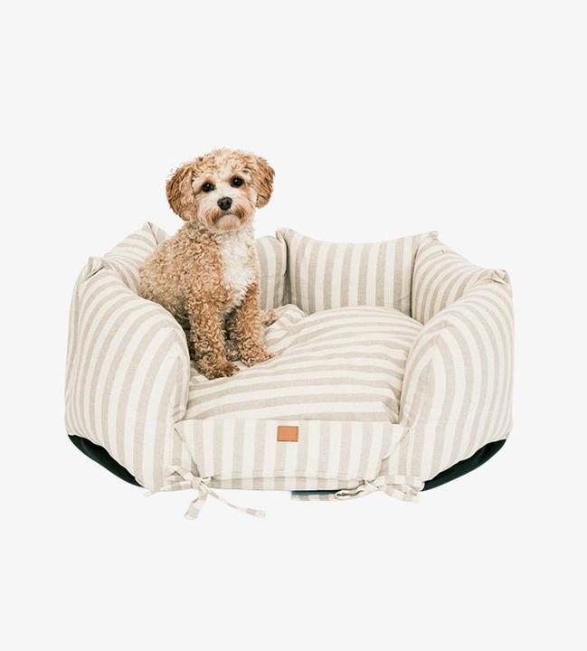 Produktbild Pet & Co. Ronny Striped - Taupe (Hund)