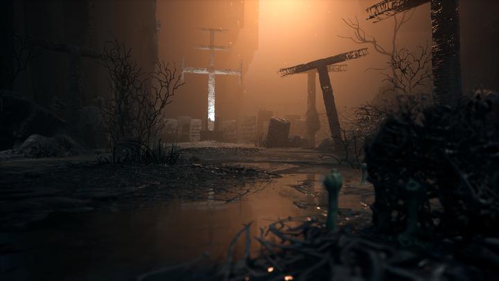 Actual product image Plaion The Medium (PS5, DE)