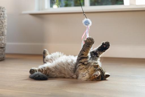 Produktbild Beeztees Katzenangel Ball mit Bändern