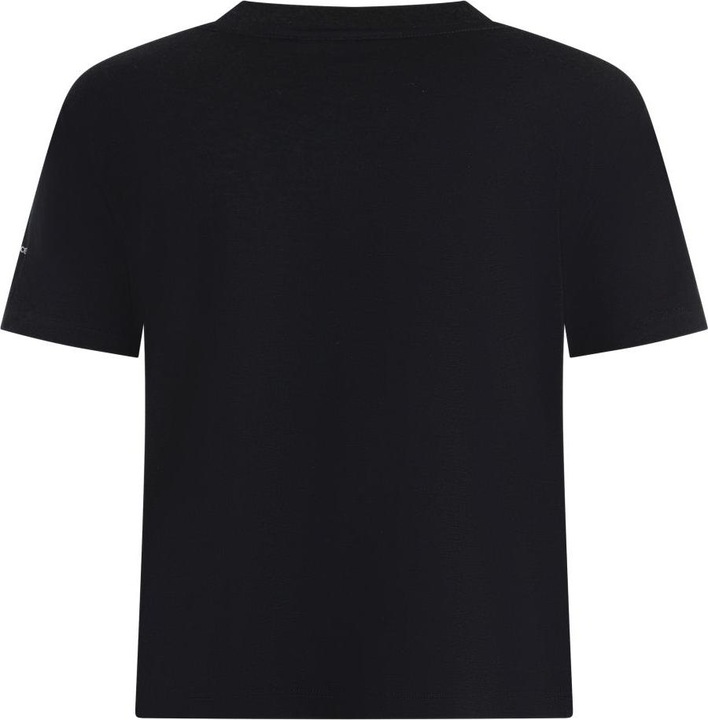 Actual product image Icebreaker Women's Merino 150 Tech Lite III S/S Crop Tee (L)