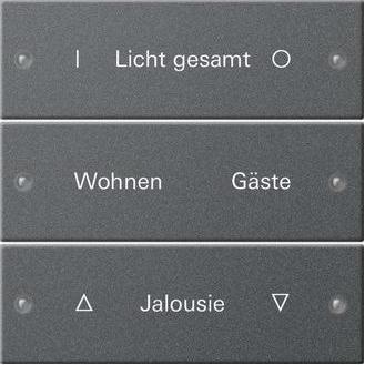 Gira, Programma di commutazione degli accessori, Set di bilancieri 3f limited System 55 220328