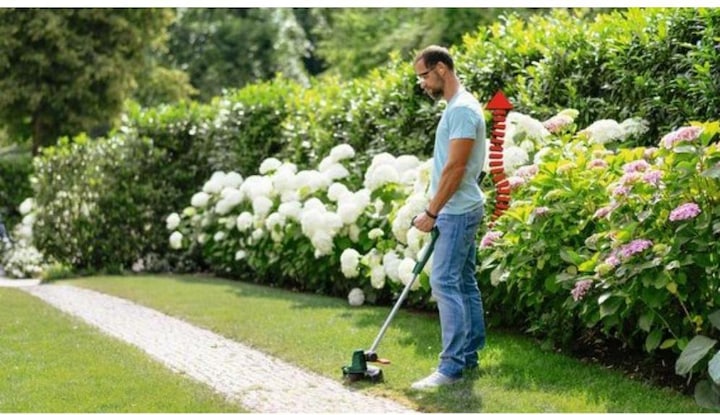 Immagine prodotto Bosch Home & Garden UniversalGrassCut 18V-260 (Filo di taglio)