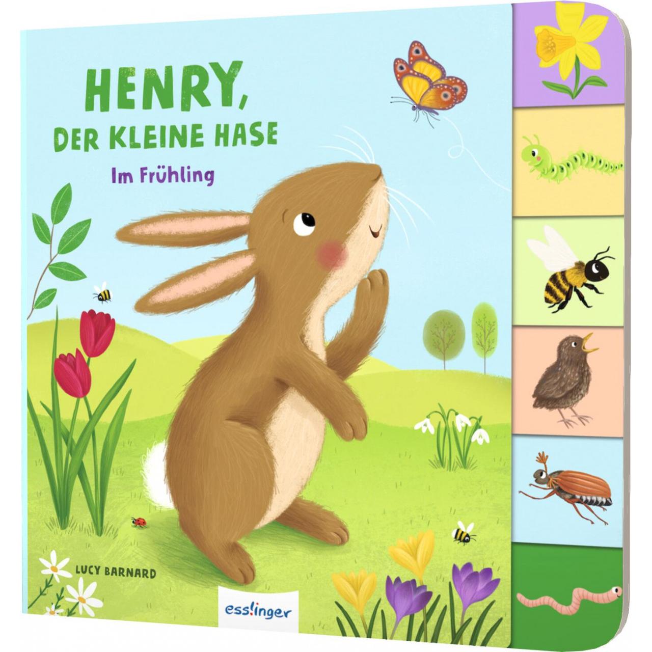 Thumbnail - Mein erstes Jahreszeitenbuch: Henry, der kleine Hase, Kinderbücher von Anja Kiel, Lucy Barnard