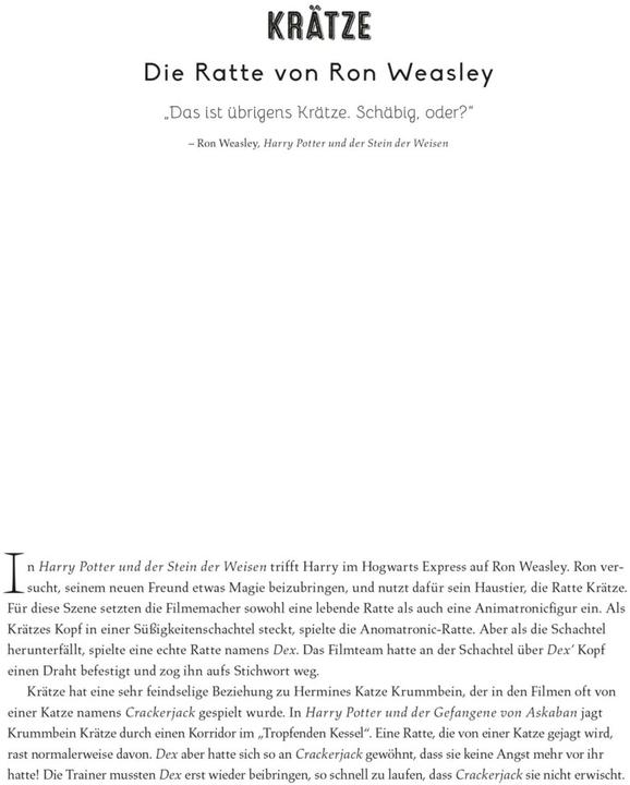 Image du produit Harry Potter - Hedwig - Das offizielle Buch mit 3D-Puzzle Fan-Art (Allemand, 2023)