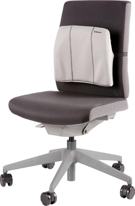 Image du produit Fellowes Smart Suites Slimline (31 x 33.20 cm)