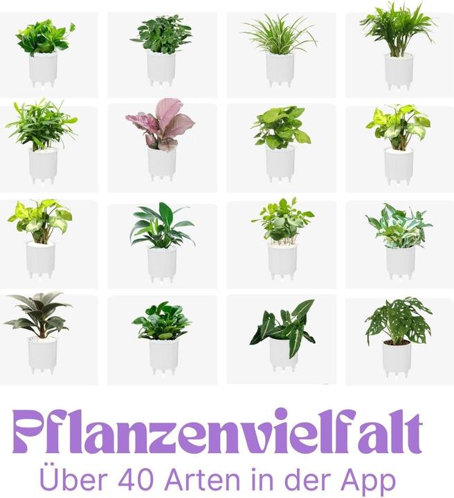 Produktbild Hermex Ivy Smart Planter (9 x 11 x 9 cm)