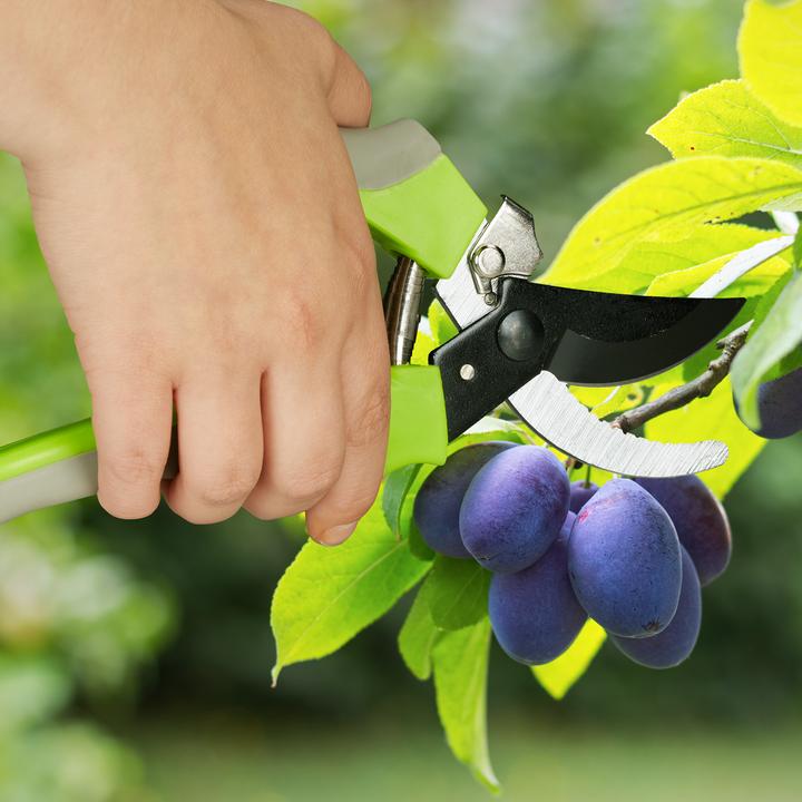 Image du produit Relaxdays Sécateur de jardin en acier