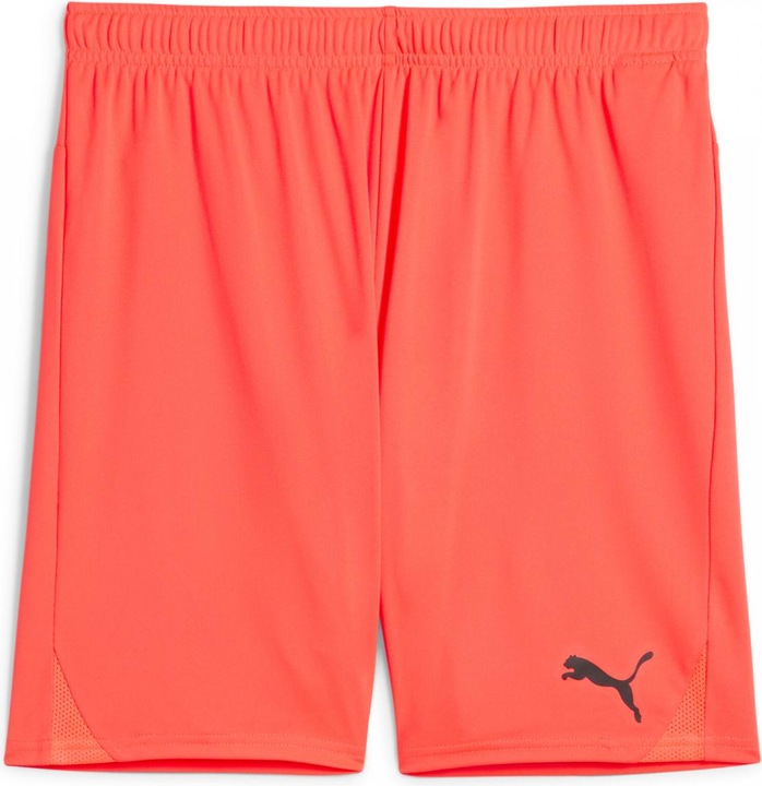 Actual product image Puma teamGOAL shorts (3XL)
