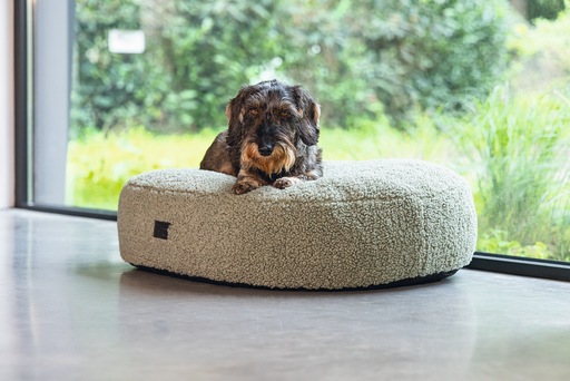 Productafbeelding Designed by Lotte Geribbeld (Hond)