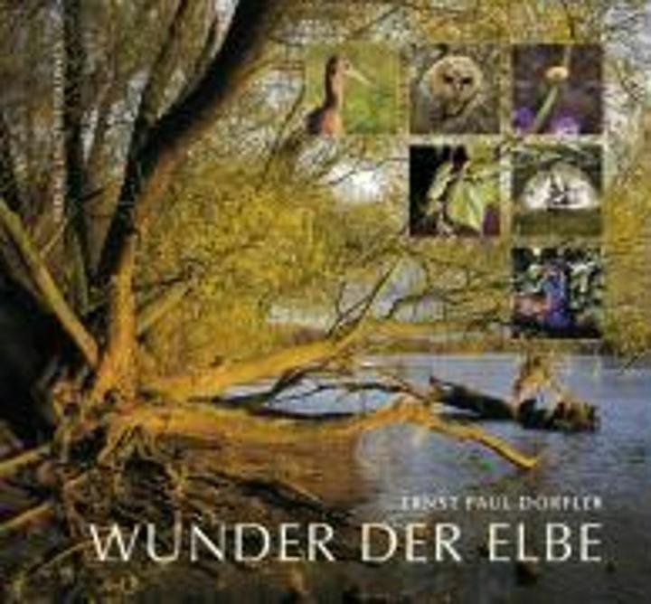 Produktbild Wunder der Elbe (Deutsch, Ernst Paul Dörfler, Friedrich Schorlemmer, Peter Ibe, 2007)