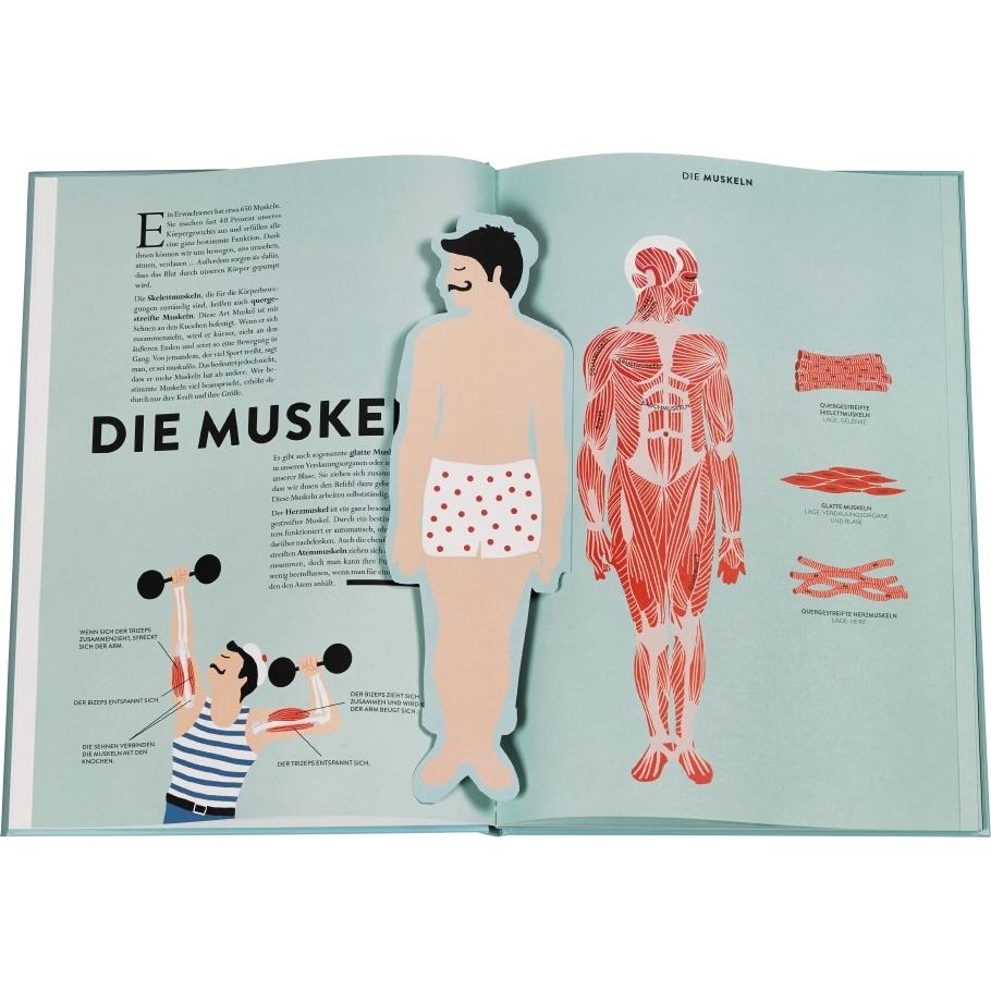 Thumbnail - Anatomie, Kinderbücher von Hélène Druvert