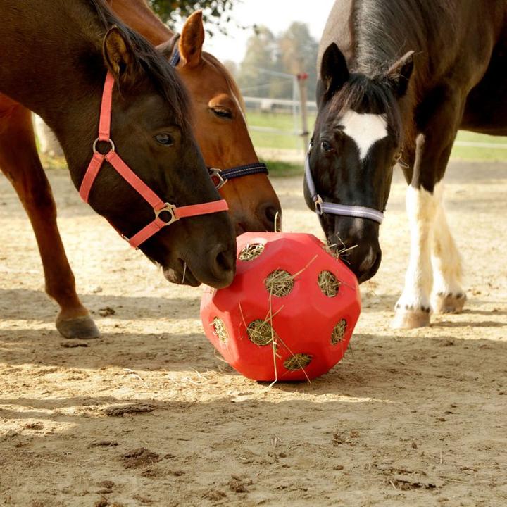 Actual product image Kerbl HayBoy food play ball