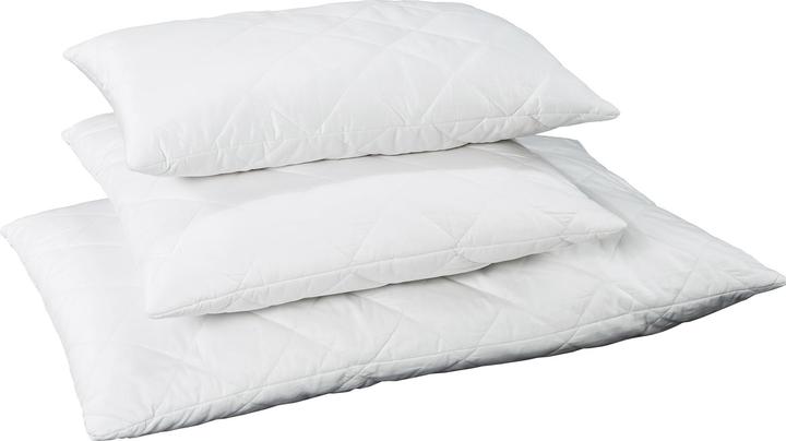 Immagine prodotto Billerbeck Edition Seta (65 x 65 cm)