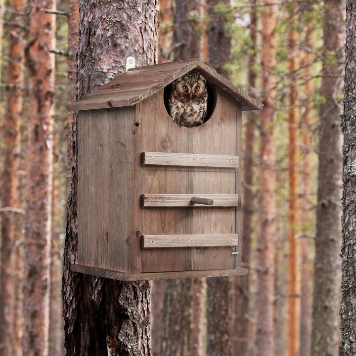 Actual product image Relaxdays Owl nesting box
