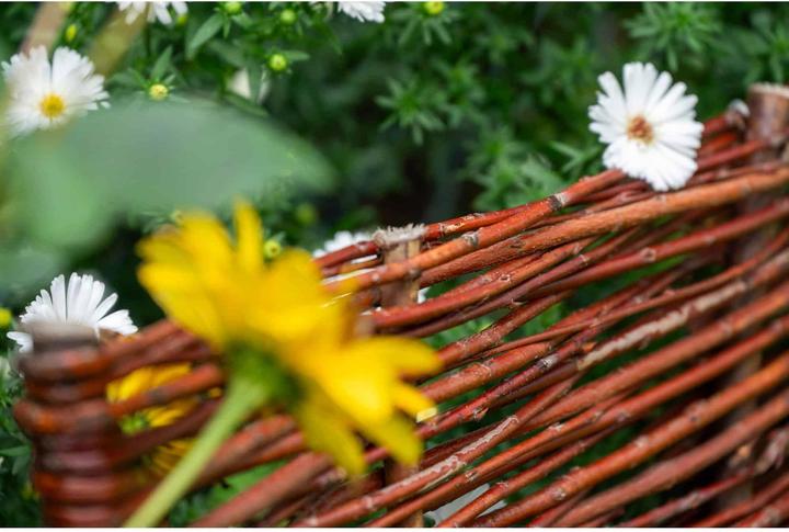 Image du produit Dobar Beeteinfassung (100 cm)