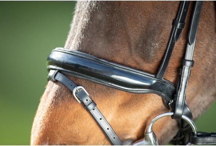 Image du produit HFI Master Shiny