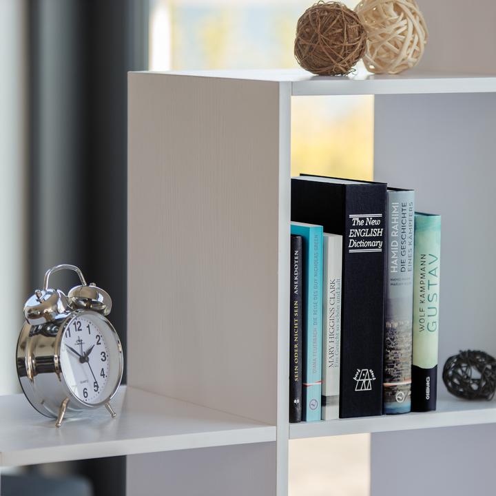 Produktbild Relaxdays Buchtresor Wörterbuch