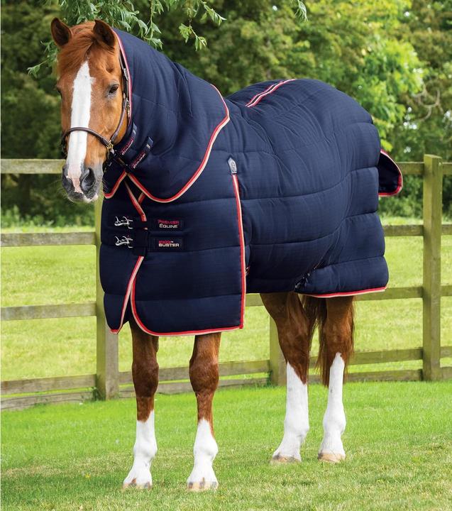 Immagine prodotto Premier Equine Titan 100 g