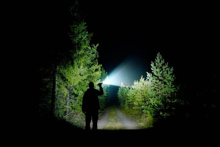 Actual product image Toolcraft TO-9469530 LED torch Adjustable point size battery-powered 2000 (16 cm, 2000 lm)