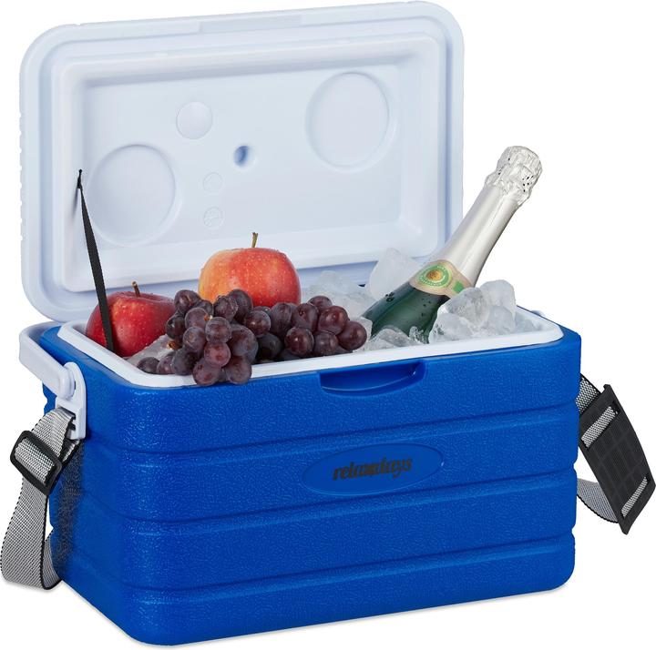 Actual product image Relaxdays Cool Box, 10L (10 l)