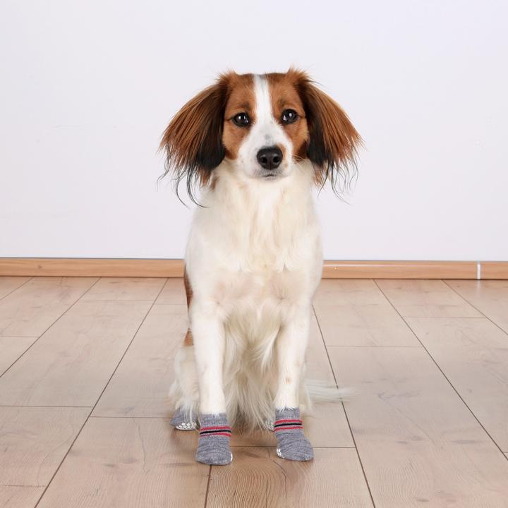 Produktbild Trixie Hundesocken (L, XL, Hundesocken)