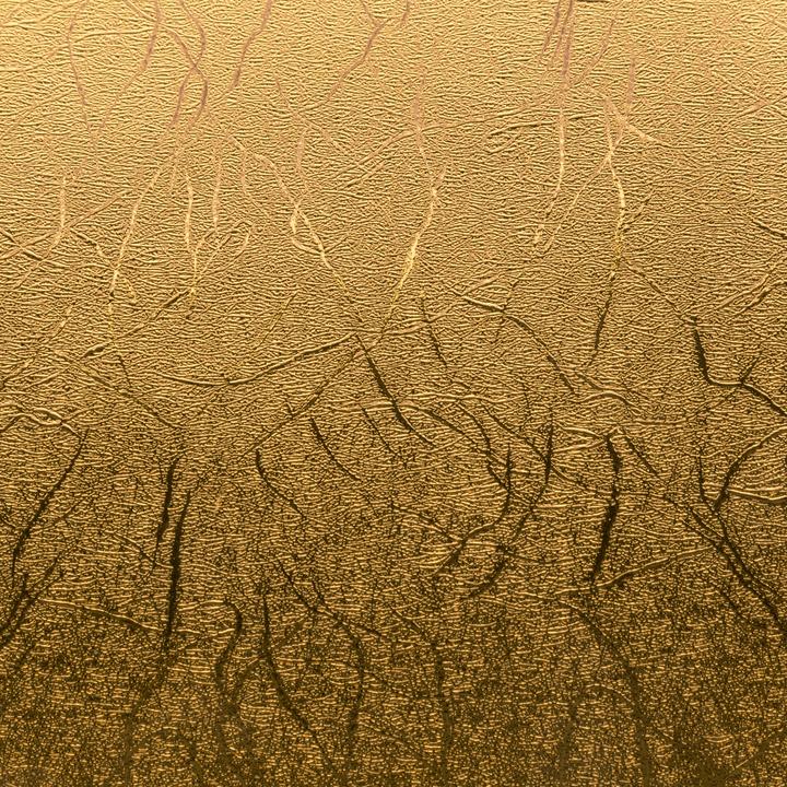 Image du produit Cricut Film vinyle Premium Textured Metallic