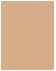 Produktbild Shiseido Sports BB Fluid SPF50+ (Medium Dark Fluid)