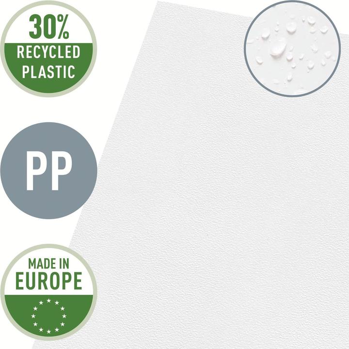 Image du produit Leitz Chemise Recycle A4 Transparent (A4, 1 x)