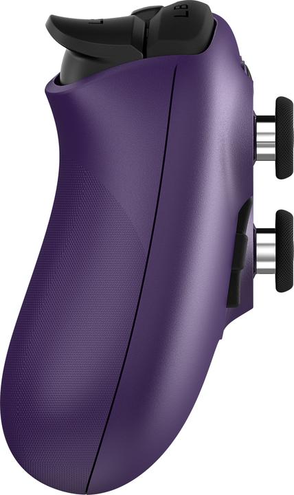 Actual product image 8bitdo Ultimate 2 Wireless (PC)