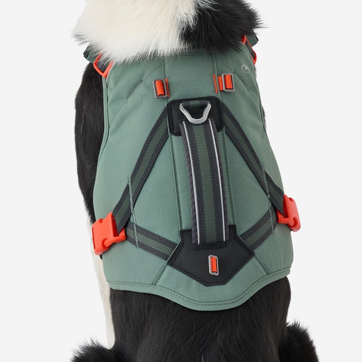 Actual product image Caperlan Hundegeschirr Wandern (S, Dog)
