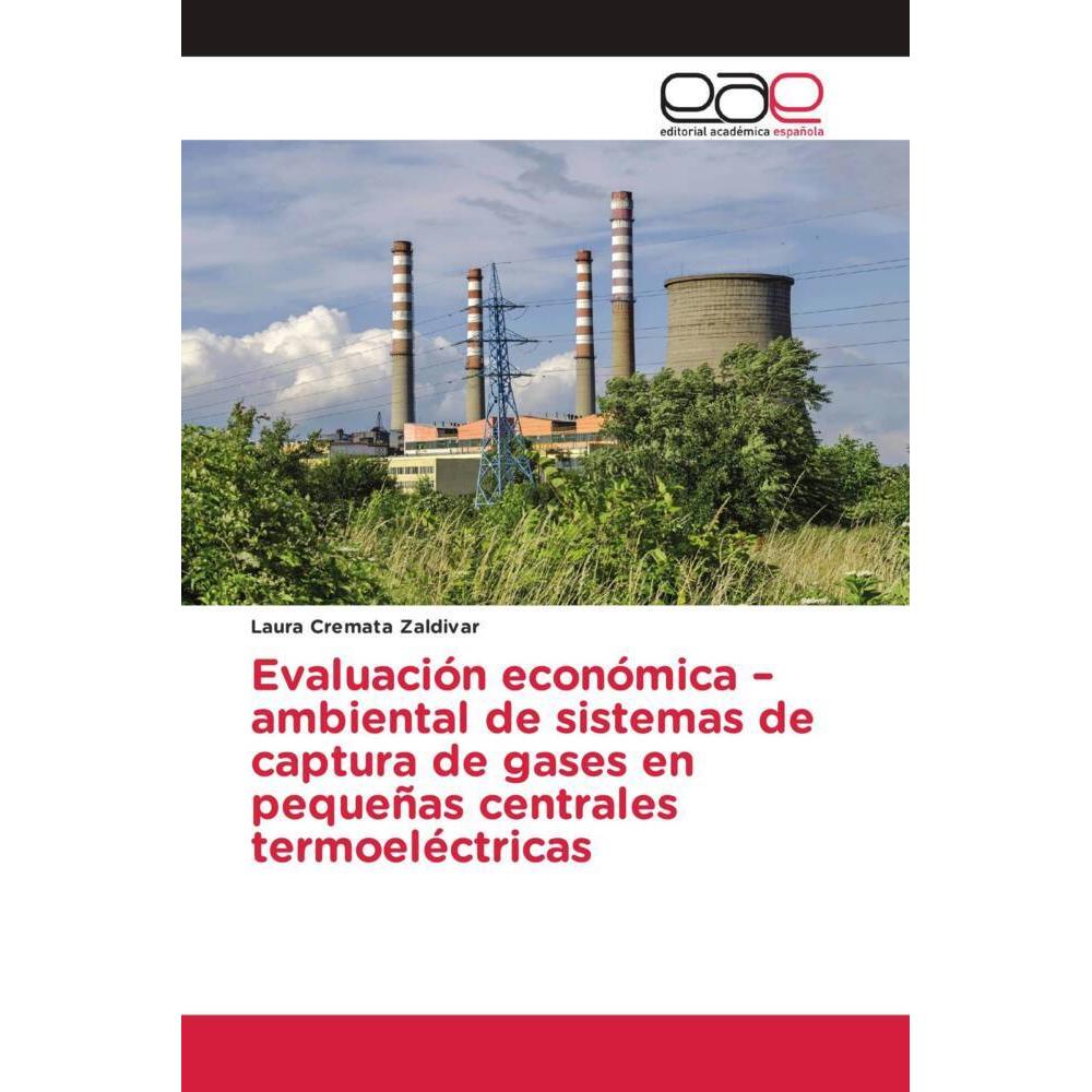 Evaluación económica -ambiental de sistemas de captura de gases en pequeñas centrales termoeléctrica, Fachbücher von Lau...