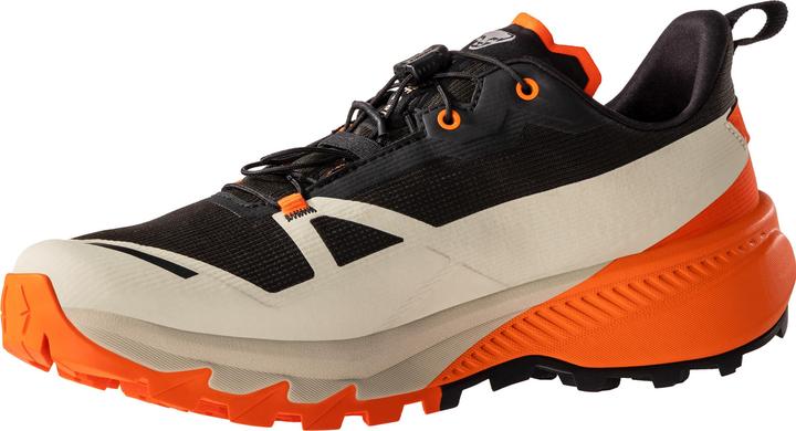 Produktbild Dynafit Traverse 2 Gtx (41)