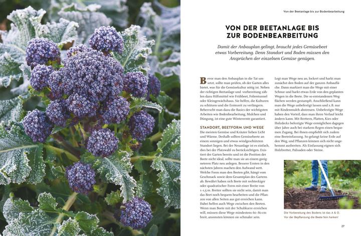 Produktbild Wintergemüse anbauen (Deutsch, Burkhard Bohne, 2018)