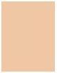 Actual product image Shiseido Synchro Skin Rad Lifting Fond de Teint No 240 (240 Quartz)