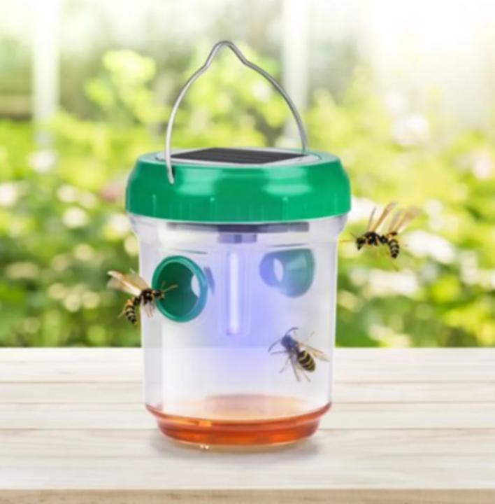 Actual product image Grundig Wasp trap solar 3pc