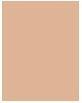 Image du produit Wet n Wild Bare Focus TIntense Skin Perfector 1114065E (Bronzage moyen)