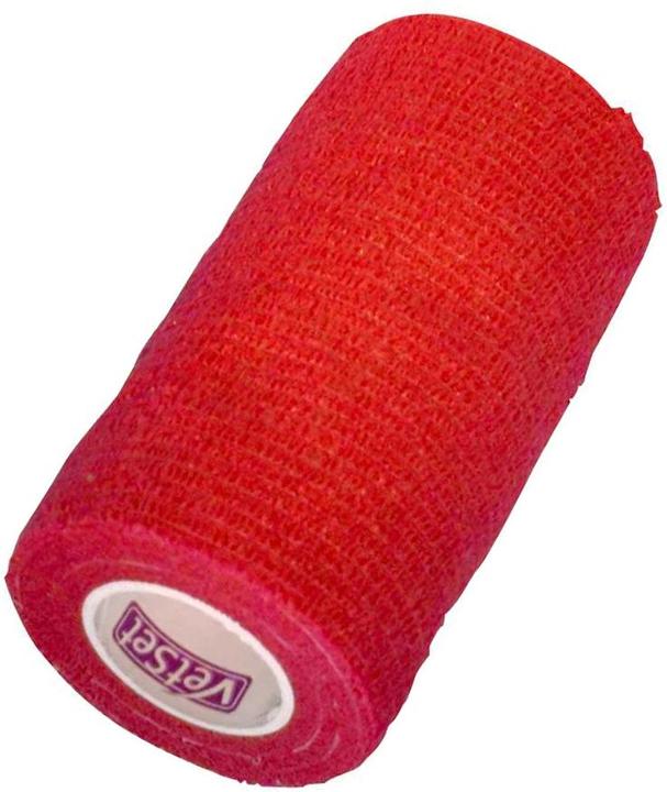 Immagine prodotto Vet Set Benda per cavalli autoadesiva WrapTec (10)