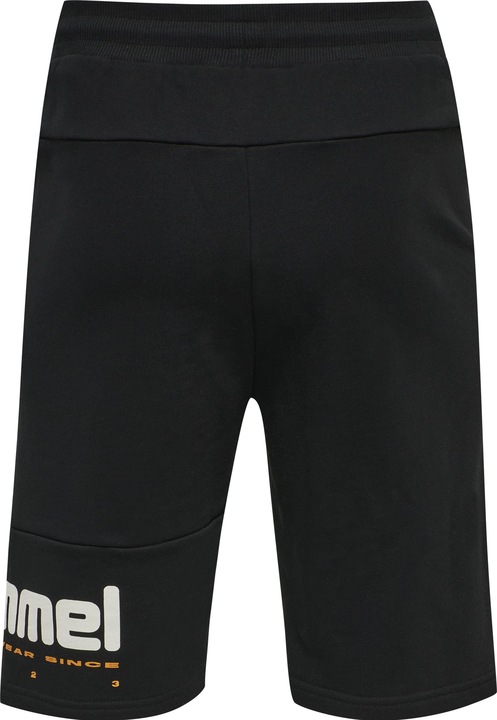 Image du produit hummel Lgc Manfred Shorts (XL)