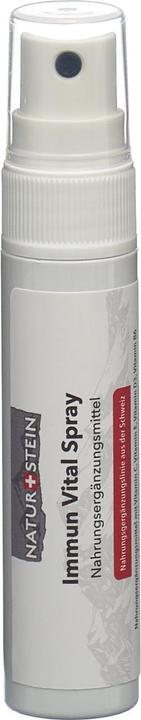 Produktbild Naturstein Vitamin Spray Immun Vital (1 Stück, Spray, 44 g)