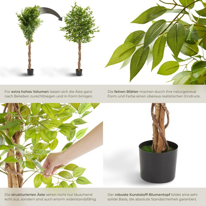 Produktbild tectake Ficusbaum Fida (180 cm)