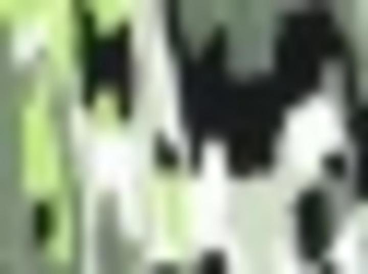 Produktbild Gerry Weber Kleid Gewebe (44)