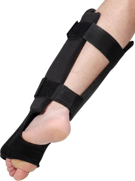 Actual product image Kwon Premium (M, Back protector, Pair)