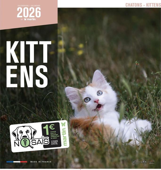 Produktbild Martin Sellier Chatons