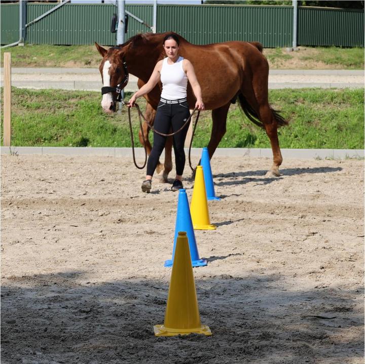 Image du produit Dönges Pylône XXL, bleu