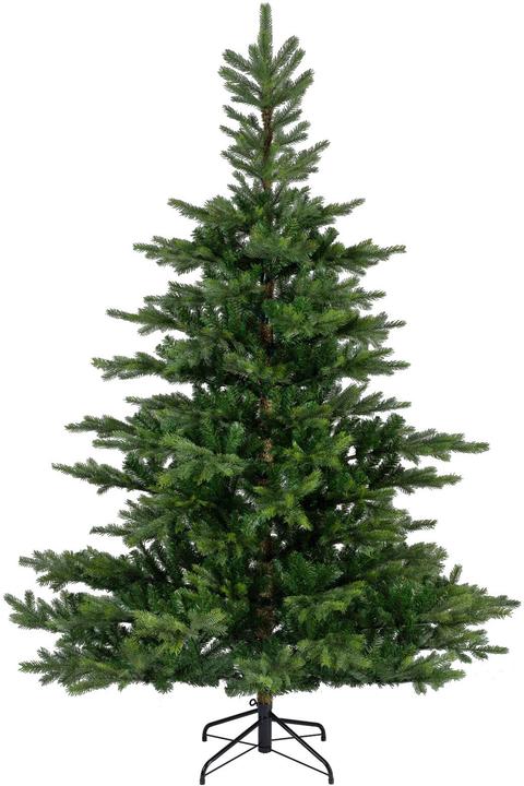 Everlands Grandis Tanne (180 cm)