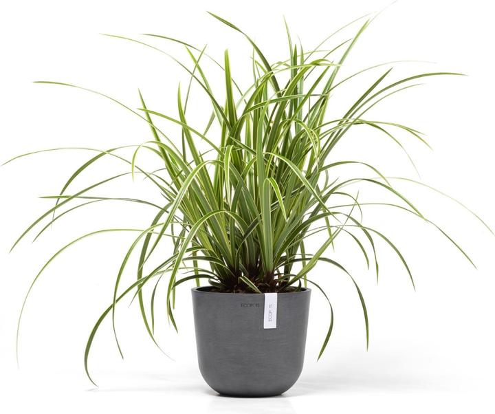 Produktbild Ecopots Oslo Mini (19 cm)