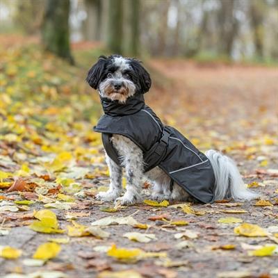 Produktbild Trixie Brizon Mantel (XS, Hundemantel)