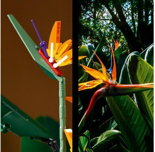 Actual product image LEGO Bird of Paradise (10289, LEGO Rare Sets)