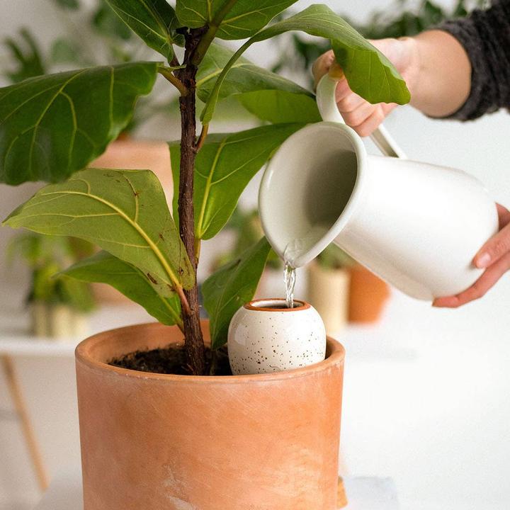 Image du produit Pepin Olla (Cône d'argile)