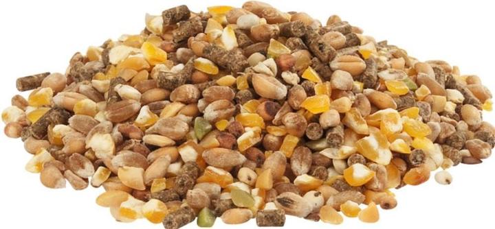 Produktbild Versele Laga Legehenne Pellets (1x, 20 kg)
